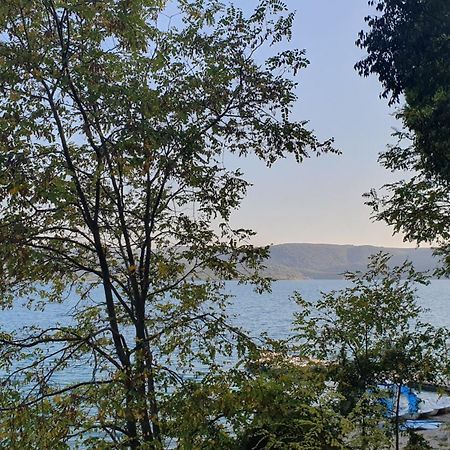 Le Comptoir Hotell Sainte-Croix-de-Verdon Exteriör bild